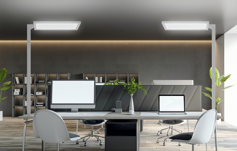 Two rectangular-head luminaires above adjoining office desks
